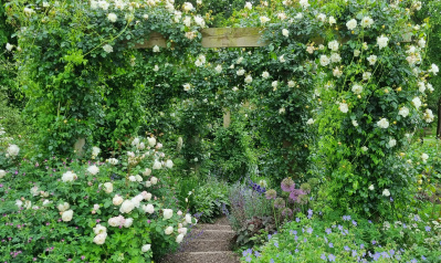 Romantic border in Edgebaston