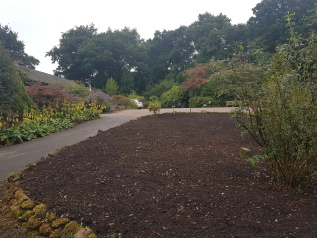 Garden in Edgebaston