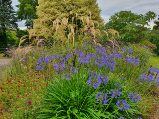 Modern flower border in Bournvillerne