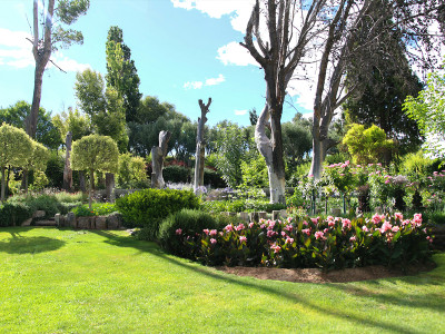 A new garden, planned slowly