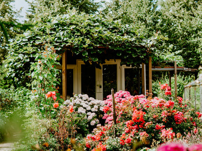 Why we mulch in autumn, not spring