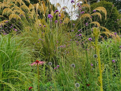 The pollinator driveway